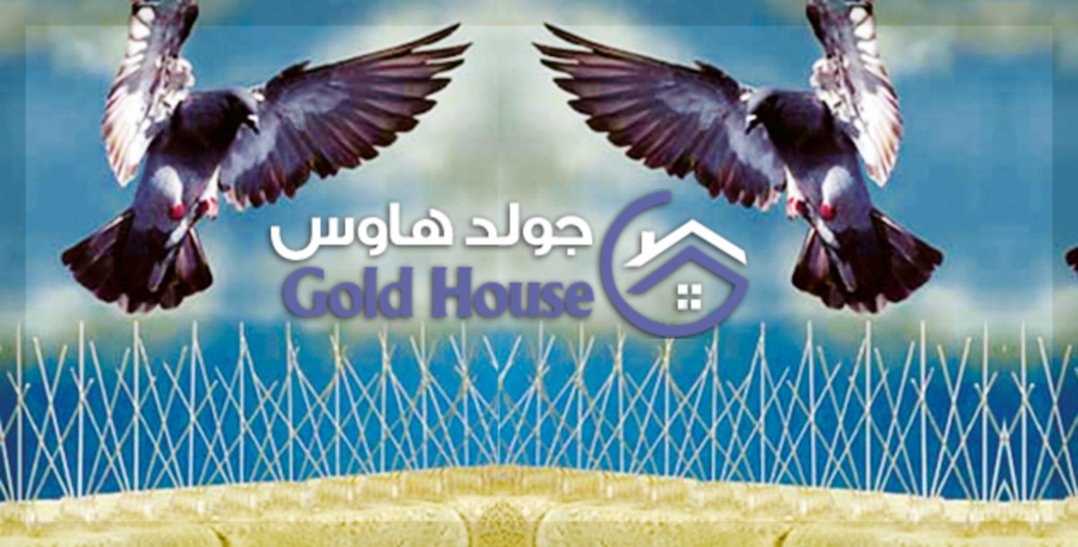 طارد الحمام بالرياض 0555789402 طارد الحمام بالرياض 0555789402